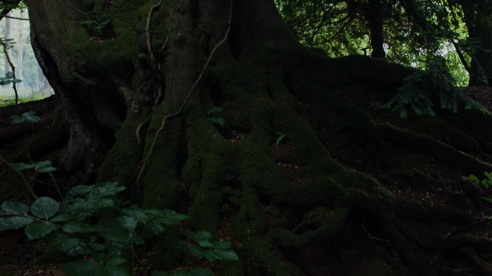 Still frame 2 from Hamnet (2025) directed by Chloe Zhao