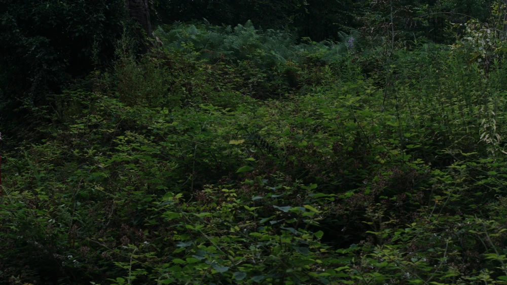 Still frame 59 from Hamnet (2025) directed by Chloe Zhao
