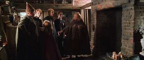 Harry Potter and the Chamber of Secrets