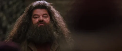 Still frame 11 from Harry Potter and the Chamber of Secrets (2002) directed by Chris Columbus