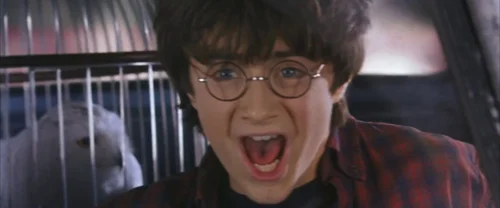 Still frame 19 from Harry Potter and the Chamber of Secrets (2002) directed by Chris Columbus