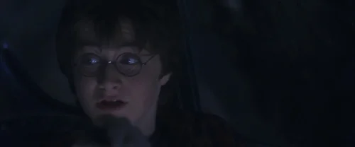 Harry Potter and the Chamber of Secrets