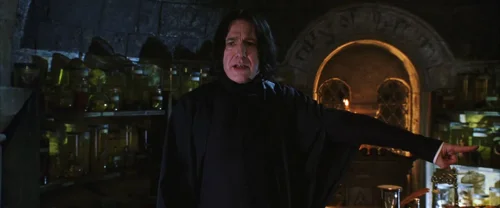 Still frame 25 from Harry Potter and the Chamber of Secrets (2002) directed by Chris Columbus