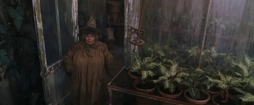 Still frame 26 from Harry Potter and the Chamber of Secrets (2002) directed by Chris Columbus