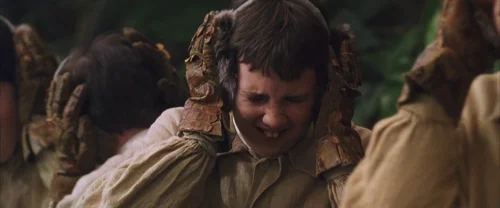 Harry Potter and the Chamber of Secrets