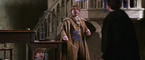 Still frame 31 from Harry Potter and the Chamber of Secrets (2002) directed by Chris Columbus