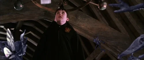 Still frame 29 from Harry Potter and the Chamber of Secrets (2002) directed by Chris Columbus