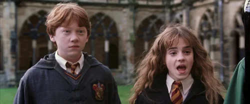 Still frame 34 from Harry Potter and the Chamber of Secrets (2002) directed by Chris Columbus