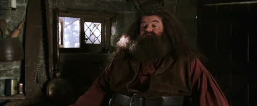 Still frame 36 from Harry Potter and the Chamber of Secrets (2002) directed by Chris Columbus