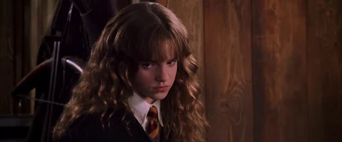 Still frame 35 from Harry Potter and the Chamber of Secrets (2002) directed by Chris Columbus