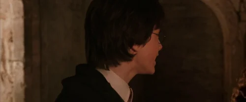 Still frame 33 from Harry Potter and the Chamber of Secrets (2002) directed by Chris Columbus