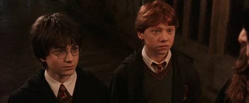 Still frame 41 from Harry Potter and the Chamber of Secrets (2002) directed by Chris Columbus