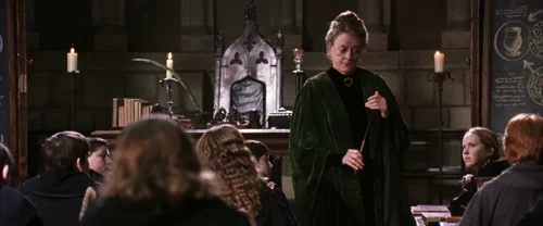 Harry Potter and the Chamber of Secrets