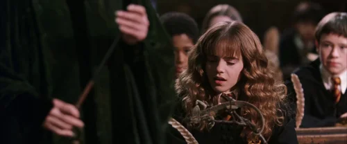 Harry Potter and the Chamber of Secrets