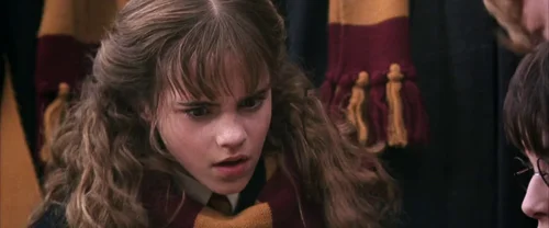 Still frame 49 from Harry Potter and the Chamber of Secrets (2002) directed by Chris Columbus
