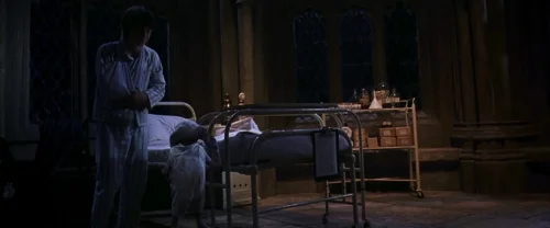 Still frame 48 from Harry Potter and the Chamber of Secrets (2002) directed by Chris Columbus