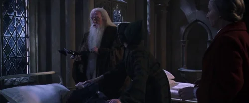 Still frame 53 from Harry Potter and the Chamber of Secrets (2002) directed by Chris Columbus