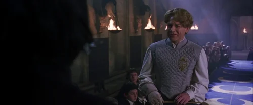 Harry Potter and the Chamber of Secrets