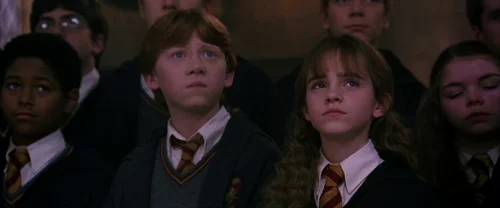 Harry Potter and the Chamber of Secrets