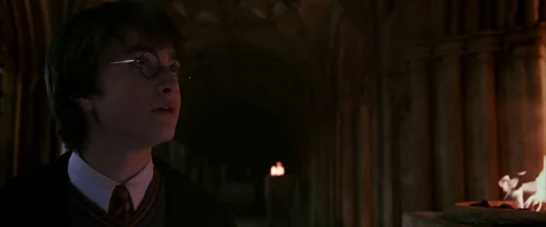 Still frame 62 from Harry Potter and the Chamber of Secrets (2002) directed by Chris Columbus