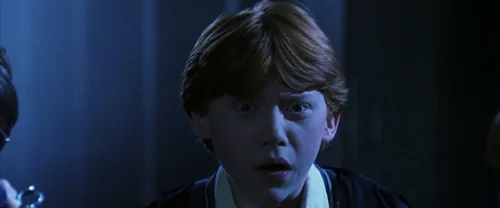 Still frame 68 from Harry Potter and the Chamber of Secrets (2002) directed by Chris Columbus