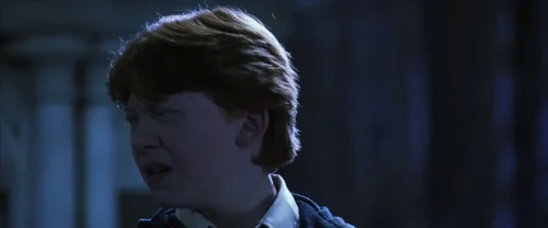 Still frame 74 from Harry Potter and the Chamber of Secrets (2002) directed by Chris Columbus