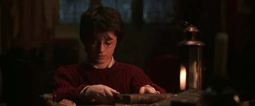 Harry Potter and the Chamber of Secrets