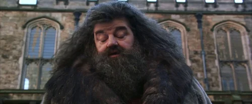 Still frame 80 from Harry Potter and the Chamber of Secrets (2002) directed by Chris Columbus