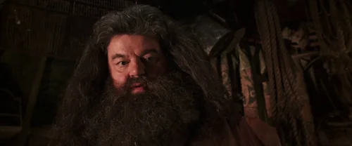Still frame 84 from Harry Potter and the Chamber of Secrets (2002) directed by Chris Columbus