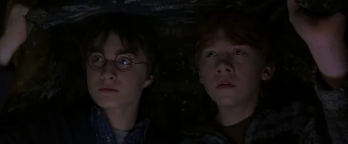 Still frame 82 from Harry Potter and the Chamber of Secrets (2002) directed by Chris Columbus