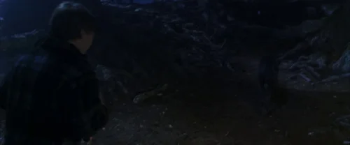 Still frame 89 from Harry Potter and the Chamber of Secrets (2002) directed by Chris Columbus