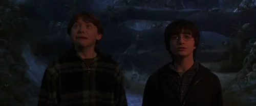 Still frame 90 from Harry Potter and the Chamber of Secrets (2002) directed by Chris Columbus