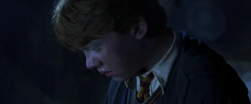 Still frame 105 from Harry Potter and the Chamber of Secrets (2002) directed by Chris Columbus