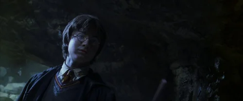 Still frame 108 from Harry Potter and the Chamber of Secrets (2002) directed by Chris Columbus