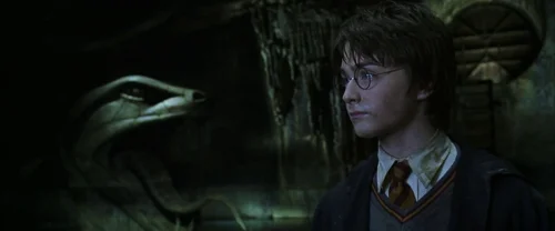 Harry Potter and the Chamber of Secrets