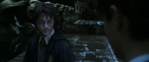 Harry Potter and the Chamber of Secrets