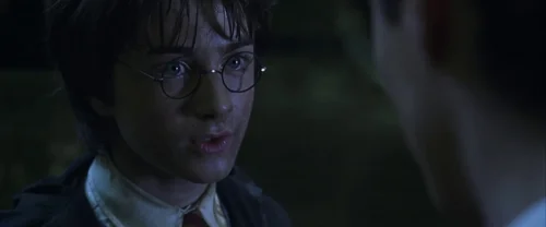 Harry Potter and the Chamber of Secrets
