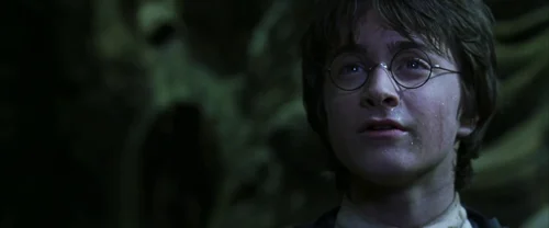 Still frame 111 from Harry Potter and the Chamber of Secrets (2002) directed by Chris Columbus