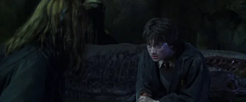 Harry Potter and the Chamber of Secrets