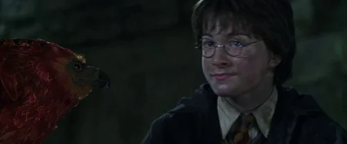 Still frame 116 from Harry Potter and the Chamber of Secrets (2002) directed by Chris Columbus