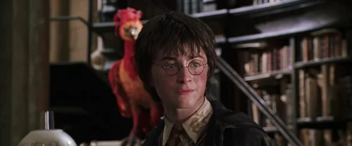 Still frame 128 from Harry Potter and the Chamber of Secrets (2002) directed by Chris Columbus