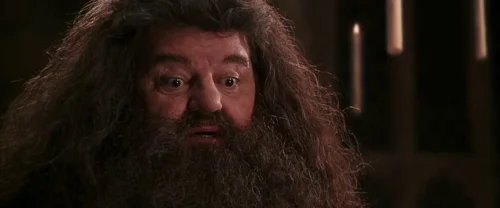 Still frame 130 from Harry Potter and the Chamber of Secrets (2002) directed by Chris Columbus