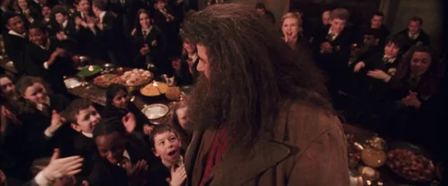 Harry Potter and the Chamber of Secrets