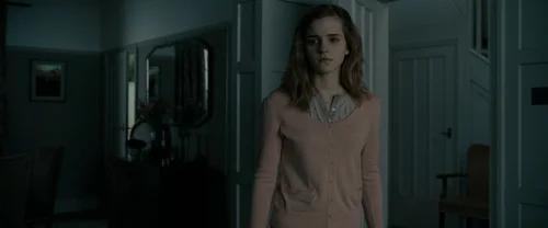 Still frame 1 from Harry Potter and the Deathly Hallows: Part 1 (2010) directed by David Yates