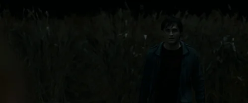 Still frame 17 from Harry Potter and the Deathly Hallows: Part 1 (2010) directed by David Yates