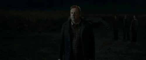 Still frame 16 from Harry Potter and the Deathly Hallows: Part 1 (2010) directed by David Yates