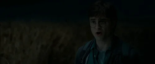 Still frame 21 from Harry Potter and the Deathly Hallows: Part 1 (2010) directed by David Yates