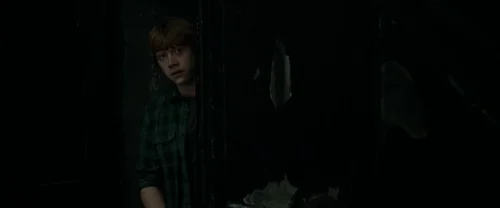 Still frame 41 from Harry Potter and the Deathly Hallows: Part 1 (2010) directed by David Yates