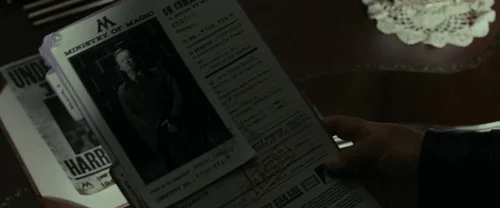 Still frame 49 from Harry Potter and the Deathly Hallows: Part 1 (2010) directed by David Yates