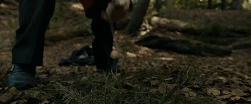 Still frame 55 from Harry Potter and the Deathly Hallows: Part 1 (2010) directed by David Yates
